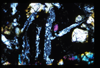 ap1501_05_04