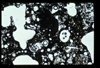 ap1501_05_07