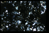 ap1501_05_08