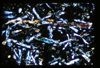 ap1501_05_10