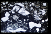 ap1501_05_11