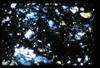 ap1501_05_12