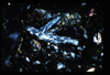 ap1501_05_18
