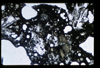 ap1501_05_19