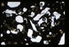 ap1501_06_03