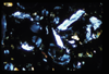 ap1501_06_04