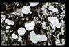 ap1501_06_06