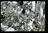 ap1501_06_09