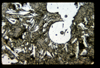 ap1501_06_11