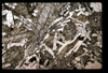 ap1501_06_14