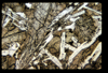 ap1501_06_16
