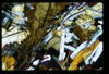 ap1501_06_17