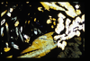 ap1501_07_06