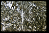 ap1501_07_14