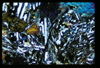 ap1501_07_15