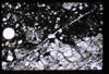 ap1501_07_16