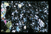 ap1501_08_01