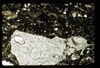 ap1501_08_02