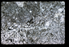 ap1501_09_04