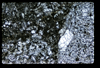 ap1501_09_06