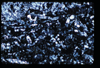 ap1501_09_09