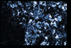 ap1501_09_11