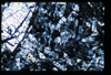 ap1501_09_13