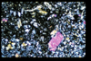 ap1501_09_15