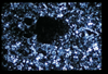 ap1501_09_19