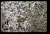 ap1501_09_20