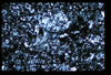 ap1501_10_01