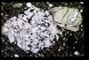 ap1501_10_09