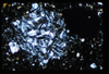 ap1501_10_10