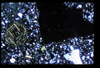 ap1501_10_12