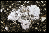 ap1501_10_13