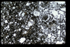 ap1501_10_19