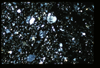 ap1501_10_20