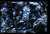ap1501_11_04