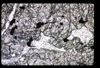 ap1501_11_05