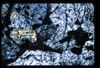 ap1501_11_06
