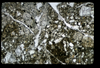 ap1501_11_07