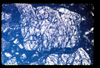 ap1501_11_12