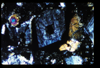 ap1501_11_15