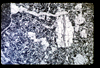 ap1501_11_16