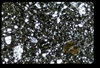 ap1501_11_18