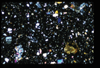 ap1501_11_19