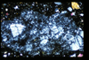 ap1503_05_15