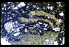 ap1503_06_02