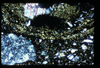 ap1503_06_03