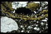 ap1503_06_04